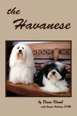 Havanský jazyk - The Havanese