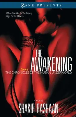 Prebudenie: Prvá kniha Kroník núbijského podsvetia - Awakening: Book One of the Chronicles of the Nubian Underworld