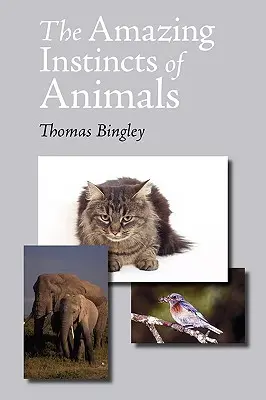 Úžasné inštinkty zvierat - The Amazing Instincts of Animals
