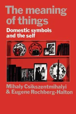 Význam vecí: Domáce symboly a ja - The Meaning of Things: Domestic Symbols and the Self