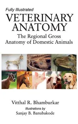Veterinárna anatómia: Regionálna hrubá anatómia domácich zvierat: Úplne ilustrované - Veterinary Anatomy: The Regional Gross Anatomy of the Domestic Animals: Fully Illustrated