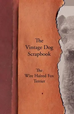 Historický album o psoch - drôtosrstý foxteriér - The Vintage Dog Scrapbook - The Wire Haired Fox Terrier