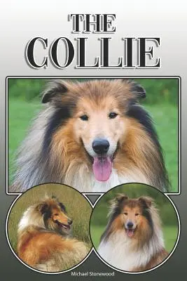 The Collie: A Complete and Comprehensive Owners Guide To: Kúpa, vlastníctvo, zdravie, starostlivosť, výcvik, poslušnosť, porozumenie a - The Collie: A Complete and Comprehensive Owners Guide To: Buying, Owning, Health, Grooming, Training, Obedience, Understanding and