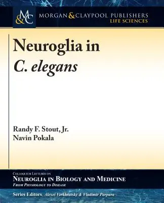 Neuroglia v C. elegans - Neuroglia in C. elegans