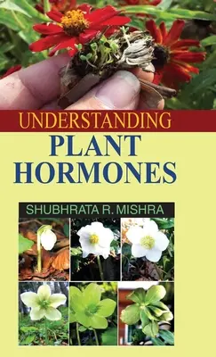 Pochopenie rastlinných hormónov - Understanding Plant Hormones