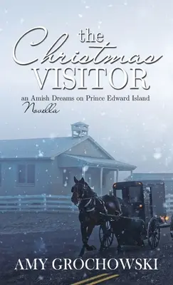 Vianočný návštevník - The Christmas Visitor