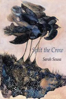 Rozdeliť vranu - Split the Crow