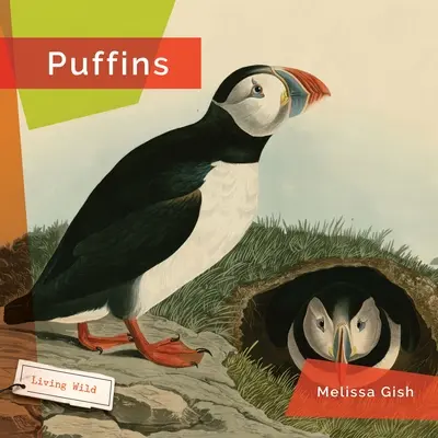 Puffiny - Puffins