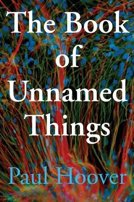 Kniha nepomenovaných vecí - The Book of Unnamed Things