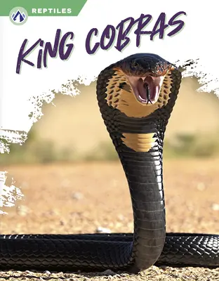 Kráľ kobier - King Cobras