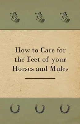 Ako sa starať o nohy koní a mulov - How to Care for the Feet of your Horses and Mules