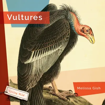 Supy - Vultures