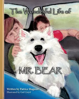 Podivuhodný život pána medveďa - The Wonderful Life of Mr. Bear