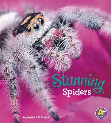 Ohromujúci pavúci - Stunning Spiders