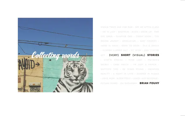 Zbieranie slov: Krátke vizuálne príbehy - Collecting Words: Short Visual Stories