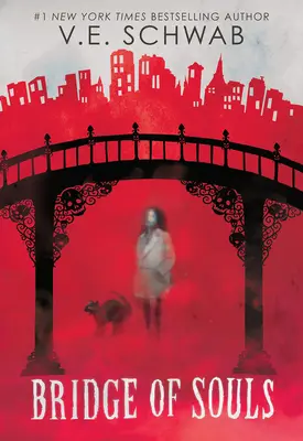 Most duší (Mesto duchov #3) - Bridge of Souls (City of Ghosts #3)
