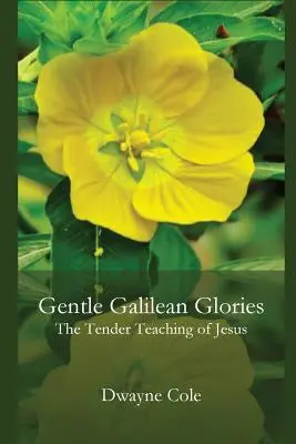 Nežná galilejská sláva: Nežné Ježišove učenie - Gentle Galilean Glories: The Tender Teachings of Jesus