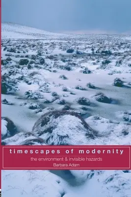 Časové krajiny modernosti: Životné prostredie a neviditeľné nebezpečenstvá - Timescapes of Modernity: The Environment and Invisible Hazards
