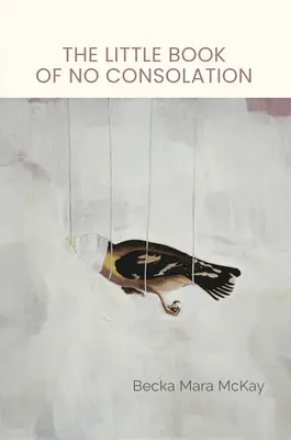 Malá kniha bez útechy - The Little Book of No Consolation