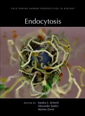 Endocytóza - Endocytosis