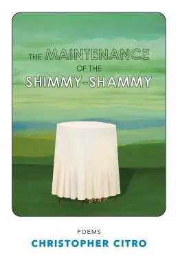 Údržba ShimmyShammy - The Maintenance of the ShimmyShammy