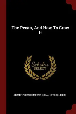 Pekanový orech a ako ho pestovať - The Pecan, And How To Grow It