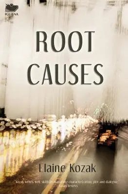 Koreňové príčiny - Root Causes