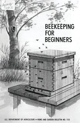 Včelárstvo pre začiatočníkov - Beekeeping for Beginners