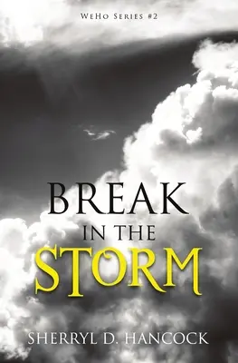 Prestávka v búrke - Break in the Storm