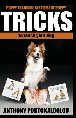 Triky so psami: Najlepšie chytré triky pre psov, ktoré naučíte svojho psa v rekordne krátkom čase - Dog Tricks: Best Smart Dog Tricks to Teach Your Dog in Record Time