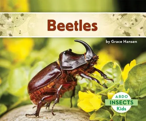 Chrobáky - Beetles