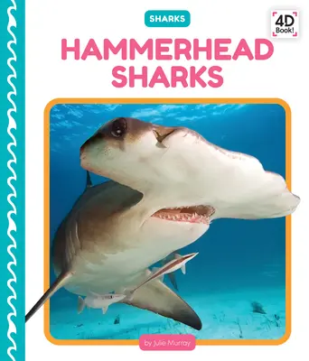 Žraloky kladivohlavé - Hammerhead Sharks