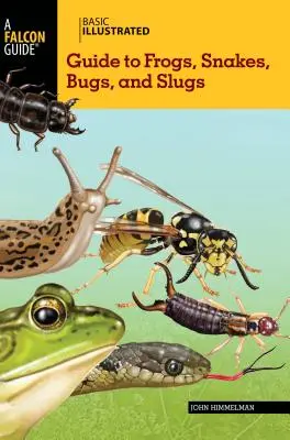 Základný ilustrovaný sprievodca žabami, hadmi, chrobákmi a slimákmi - Basic Illustrated Guide to Frogs, Snakes, Bugs, and Slugs