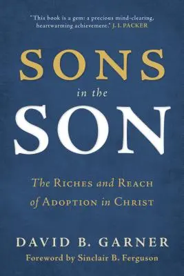 Synovia v synovi: Bohatstvo a dosah prijatia v Kristovi - Sons in the Son: The Riches and Reach of Adoption in Christ