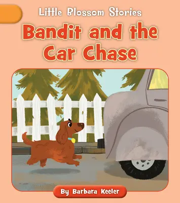 Bandita a automobilová naháňačka - Bandit and the Car Chase