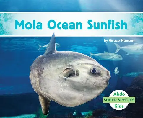 Mola oceánska slnečná - Mola Ocean Sunfish
