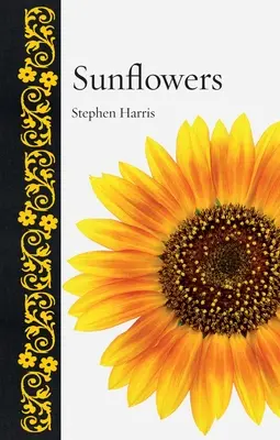 Slnečnice - Sunflowers