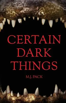 Niektoré temné veci: Príbehy - Certain Dark Things: Stories