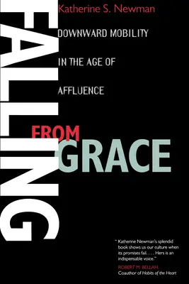 Pád z milosti: Mobilita smerom nadol vo veku blahobytu - Falling from Grace: Downward Mobility in the Age of Affluence
