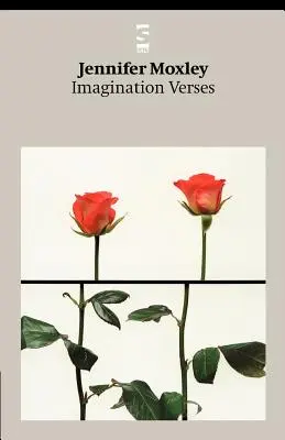 Predstavivosť verše - Imagination Verses