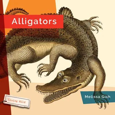 Aligátory - Alligators
