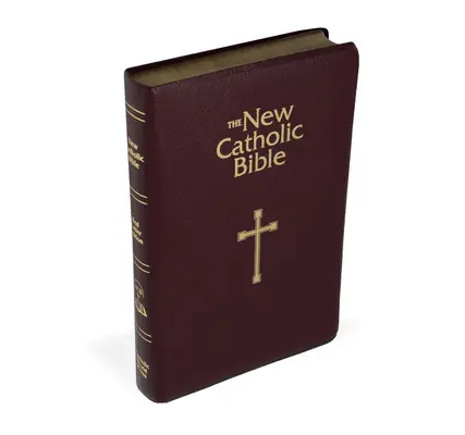 Ncb Biblia na darčeky a ocenenia - Ncb Gift & Award Bible