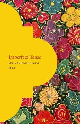 Nedokonavý čas - Imperfect Tense