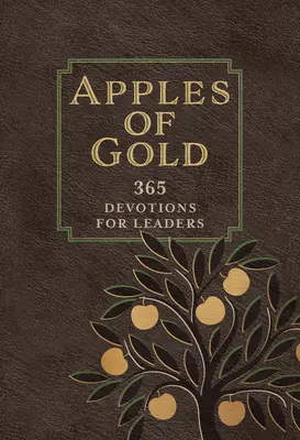 Jablká zlata: 365 pobožností pre lídrov - Apples of Gold: 365 Devotions for Leaders