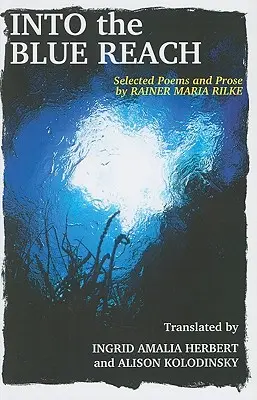 Do modrej diaľky - Into the Blue Reach