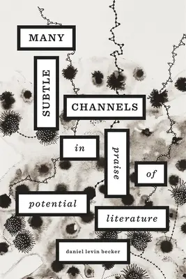 Mnoho jemných kanálov: In Praise of Potential Literature (Chvála potenciálnej literatúry) - Many Subtle Channels: In Praise of Potential Literature