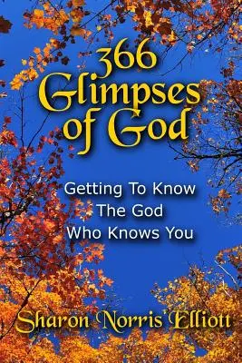 366 zábleskov Boha: Poznávanie Boha, ktorý ťa pozná - 366 Glimpses Of God: Getting To Know The God Who Knows You