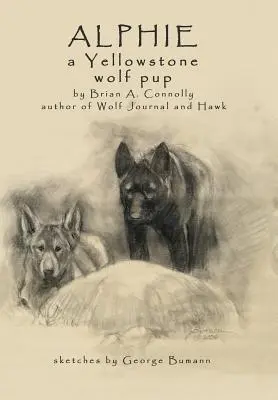 Alphie, Yellowstonské vlčie mláďa - Alphie, a Yellowstone Wolf Pup
