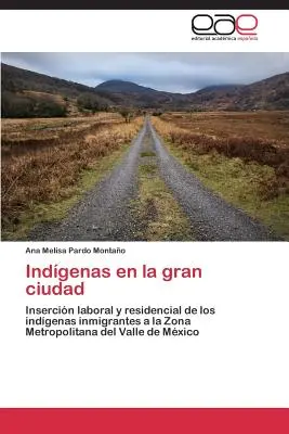 Indgenas en la gran ciudad
