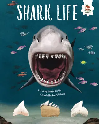 Život žralokov - Shark Life